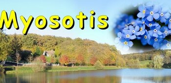 Club des MYOSOTIS